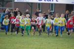 Someren110109040153_small.jpg (3698 Byte)