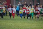 Someren110109040154_small.jpg (3946 Byte)