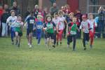 Someren110109040155_small.jpg (3857 Byte)