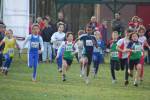 Someren110109040156_small.jpg (3932 Byte)