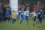 Someren110109040157_small.jpg (3698 Byte)