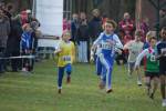 Someren110109040158_small.jpg (3946 Byte)