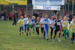 Someren110109040161_small.jpg (3698 Byte)