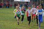 Someren110109040163_small.jpg (3857 Byte)