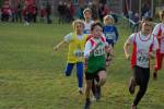 Someren110109040164_small.jpg (3932 Byte)