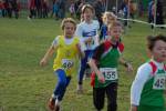 Someren110109040165_small.jpg (3698 Byte)