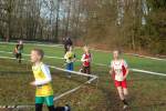 Someren110109040182_small.jpg (3946 Byte)