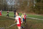 Someren110109040183_small.jpg (3857 Byte)