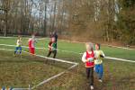 Someren110109040184_small.jpg (3932 Byte)