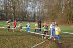 Someren110109040189_small.jpg (3698 Byte)