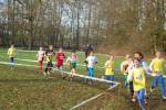 Someren110109040190_small.jpg (3946 Byte)