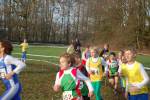 Someren110109040192_small.jpg (3932 Byte)