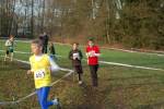 Someren110109040196_small.jpg (3932 Byte)