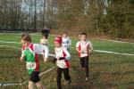 Someren110109040199_small.jpg (3857 Byte)