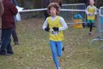 Someren110109040213_small.jpg (3698 Byte)