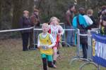 Someren110109040217_small.jpg (3698 Byte)