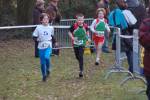 Someren110109040229_small.jpg (3698 Byte)