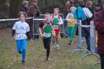 Someren110109040230_small.jpg (3946 Byte)