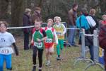 Someren110109040231_small.jpg (3857 Byte)