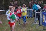 Someren110109040234_small.jpg (3946 Byte)