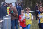 Someren110109040238_small.jpg (3946 Byte)