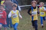 Someren110109040239_small.jpg (3857 Byte)