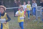 Someren110109040240_small.jpg (3932 Byte)