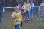 Someren110109040241_small.jpg (3698 Byte)