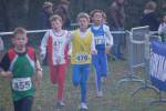 Someren110109040243_small.jpg (3857 Byte)