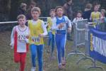 Someren110109040244_small.jpg (3932 Byte)