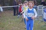 Someren110109040246_small.jpg (3946 Byte)