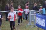 Someren110109040255_small.jpg (3857 Byte)