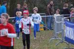 Someren110109040260_small.jpg (3932 Byte)