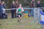 Someren110109040267_small.jpg (3857 Byte)