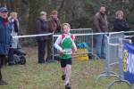 Someren110109040268_small.jpg (3932 Byte)