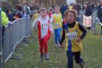 Someren110109040328_small.jpg (3932 Byte)