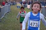 Someren110109040356_small.jpg (3932 Byte)