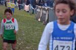 Someren110109040357_small.jpg (3698 Byte)