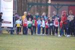 Someren110109040398_small.jpg (3946 Byte)