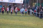 Someren110109040414_small.jpg (3946 Byte)