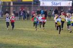 Someren110109050002_small.jpg (3946 Byte)