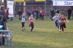 Someren110109050003_small.jpg (3857 Byte)