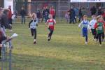 Someren110109050004_small.jpg (3932 Byte)