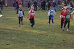 Someren110109050005_small.jpg (3698 Byte)