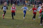 Someren110109050006_small.jpg (3946 Byte)