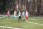 Someren110109050012_small.jpg (3932 Byte)