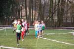 Someren110109050016_small.jpg (3932 Byte)