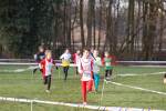 Someren110109050020_small.jpg (3932 Byte)