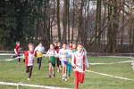 Someren110109050021_small.jpg (3698 Byte)