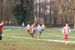 Someren110109050022_small.jpg (3946 Byte)